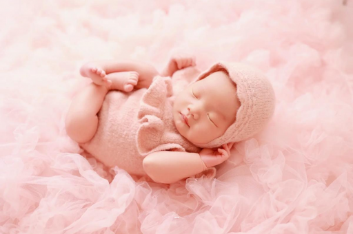 三门峡8个月宝宝辅食